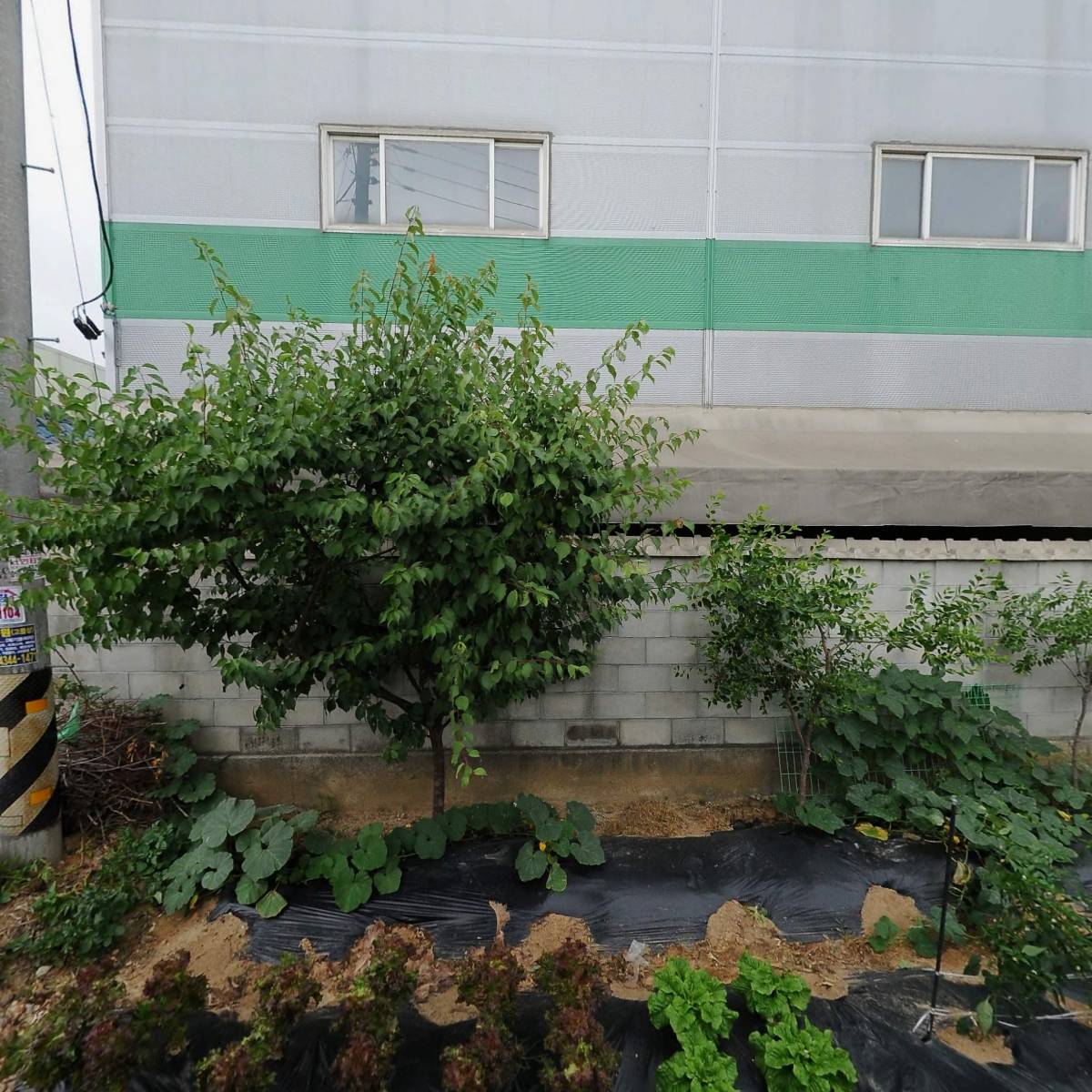 대신산업