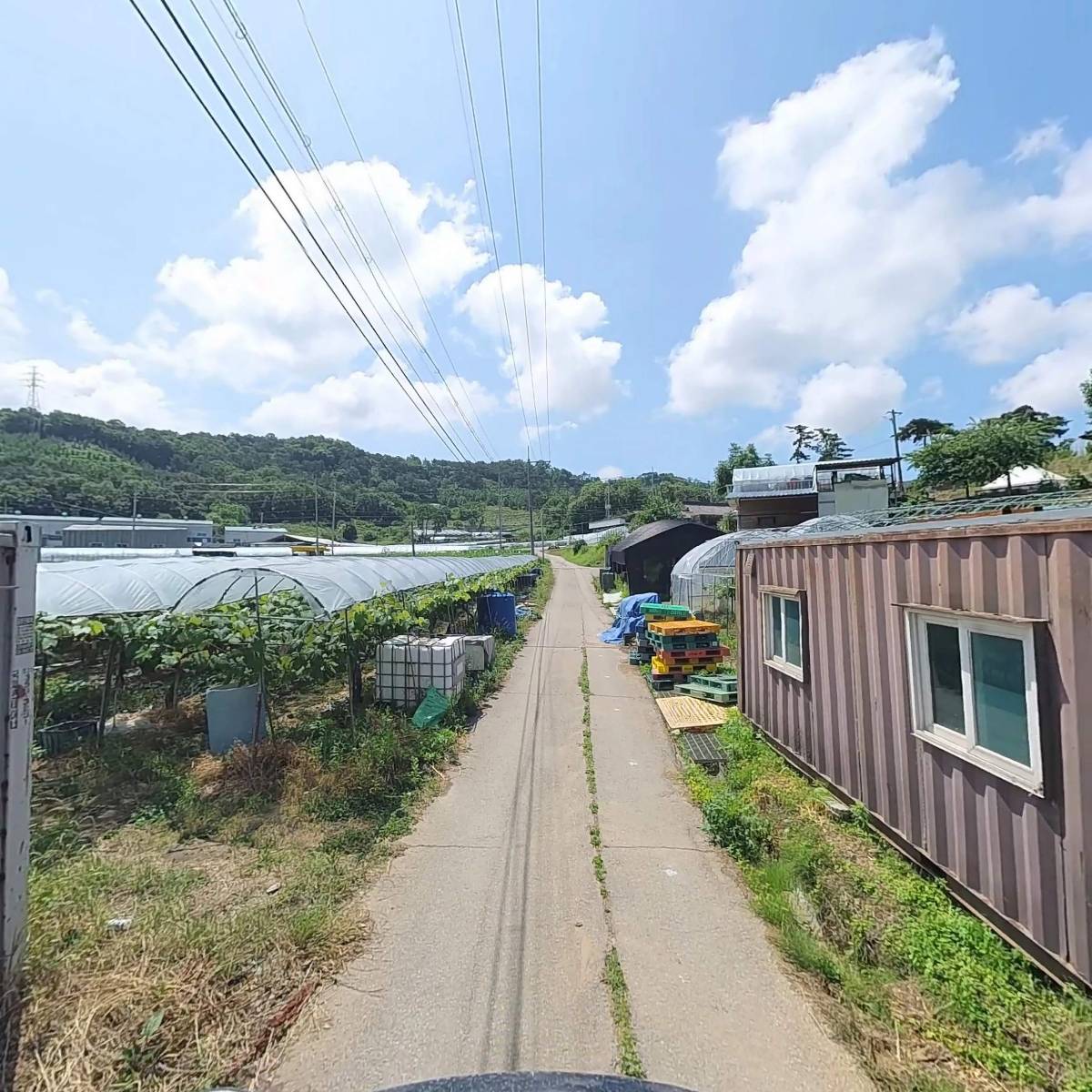 송산굼벵이농장_2