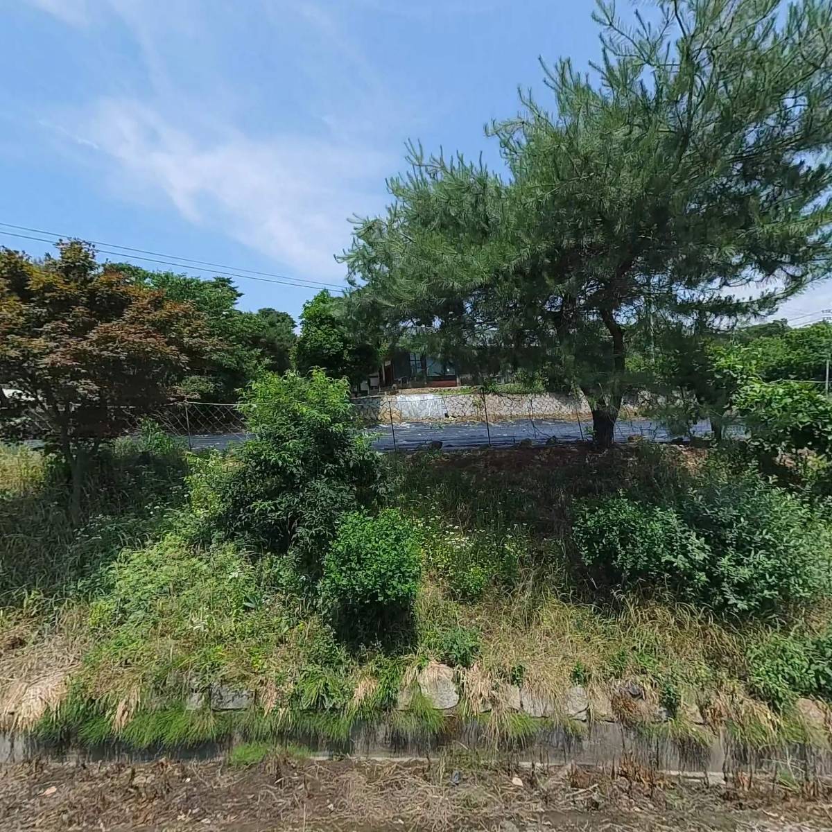 초계정씨송죽당공파종중_3