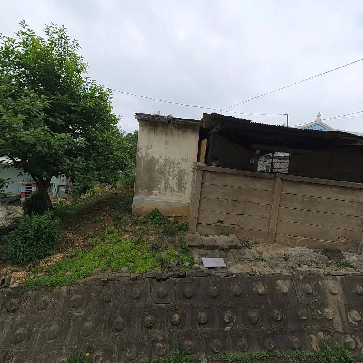 서울농수산_3