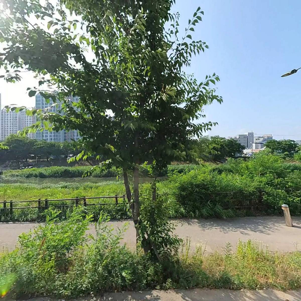 황실_3
