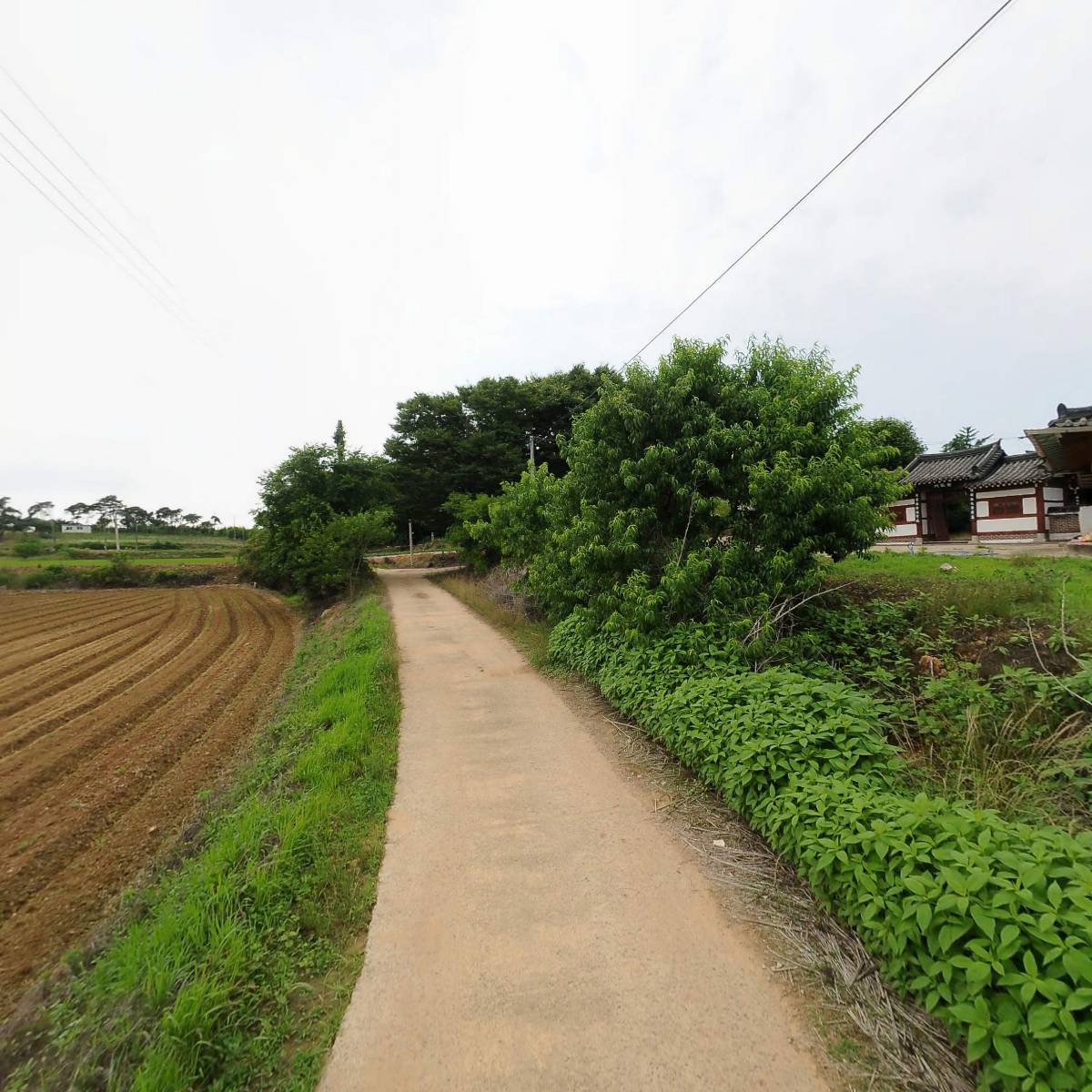 농업회사법인 유한회사 병승산원_2