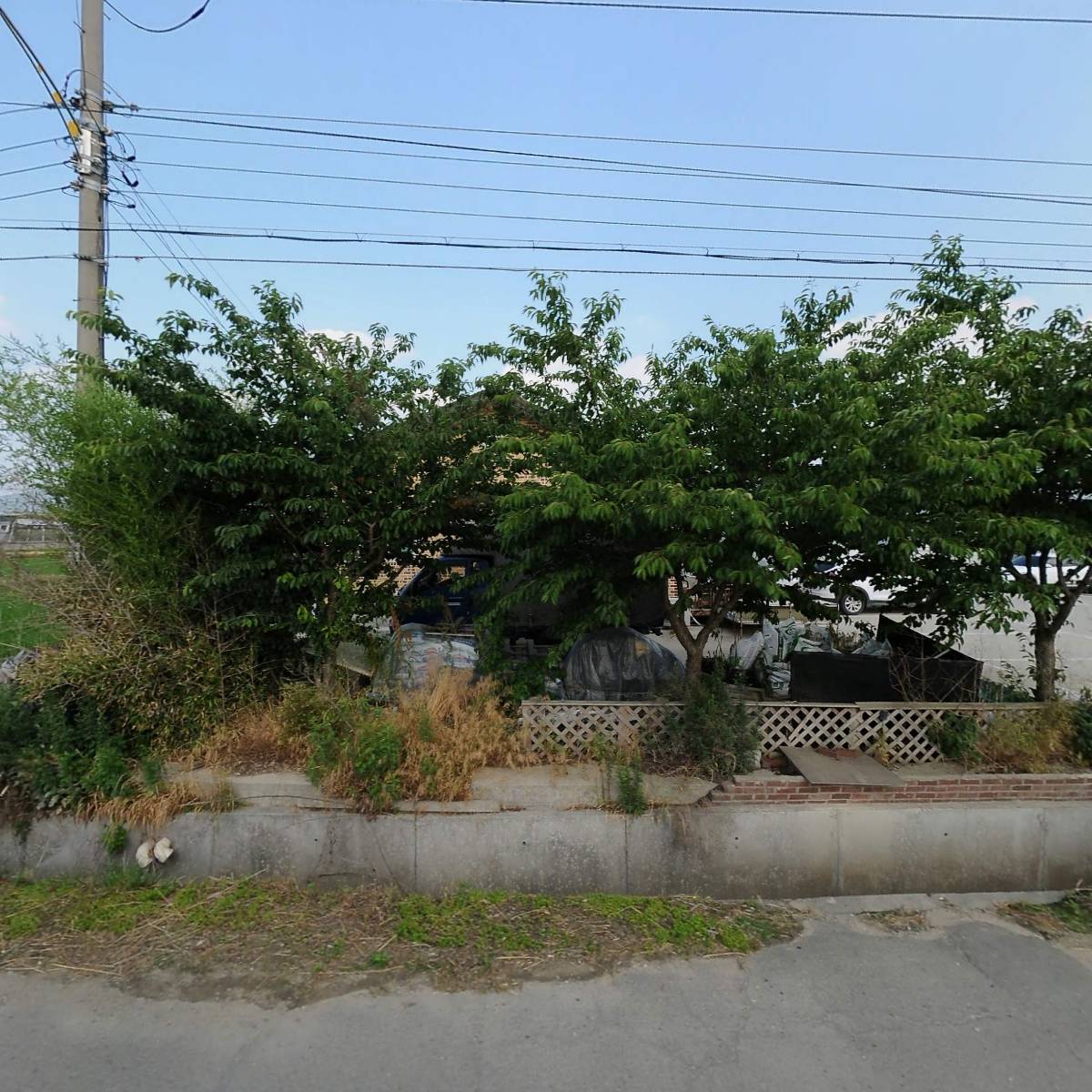 안성다육아울렛