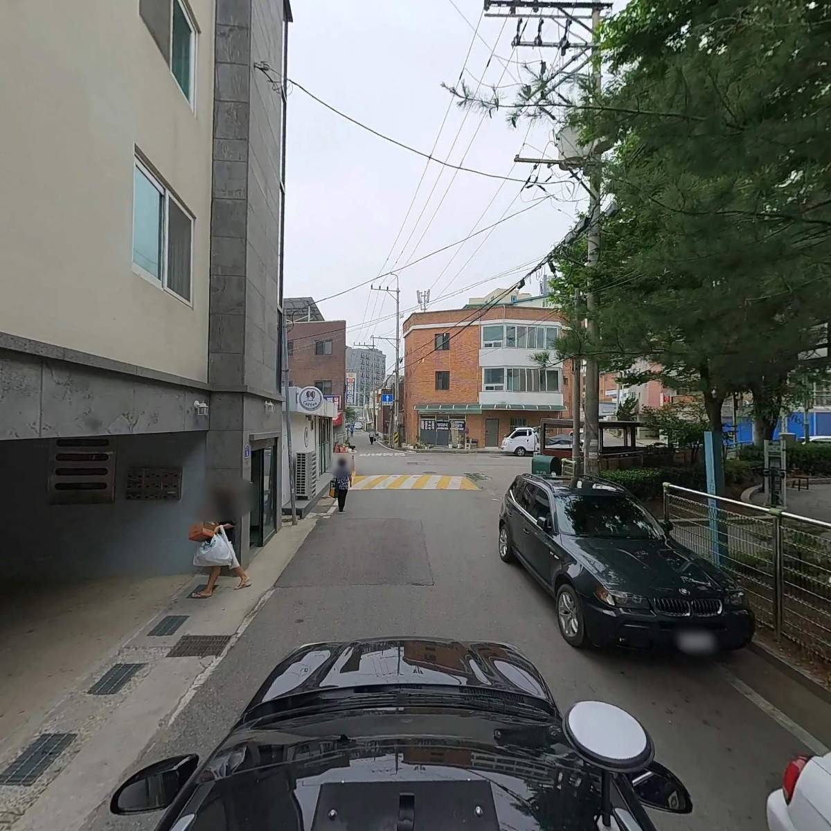다프네_4