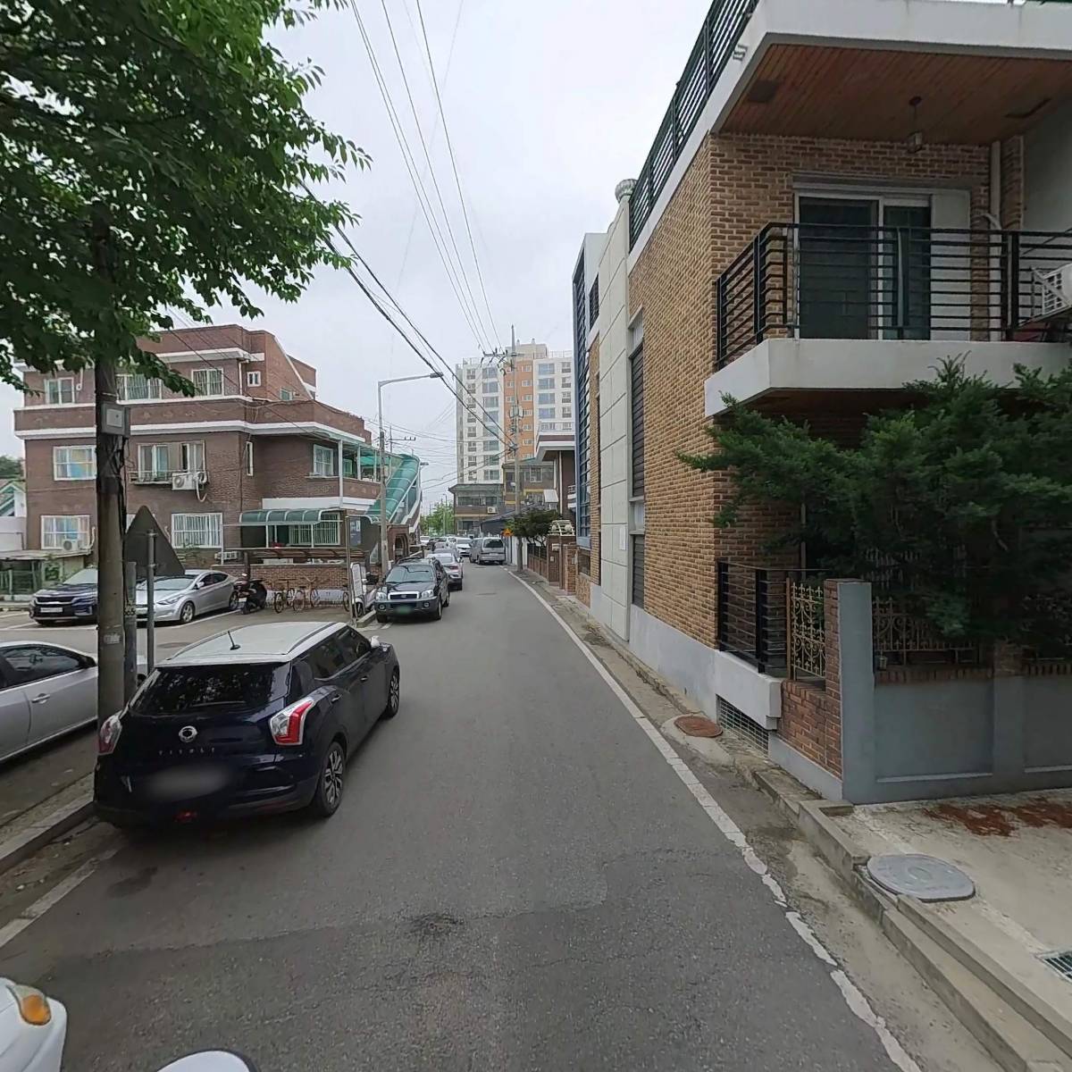 다프네_2