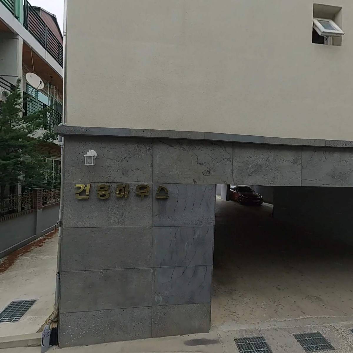 다프네_3