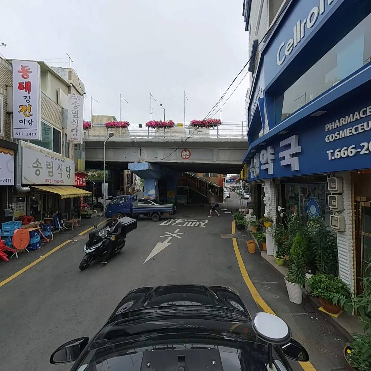 동태랑전이랑_4