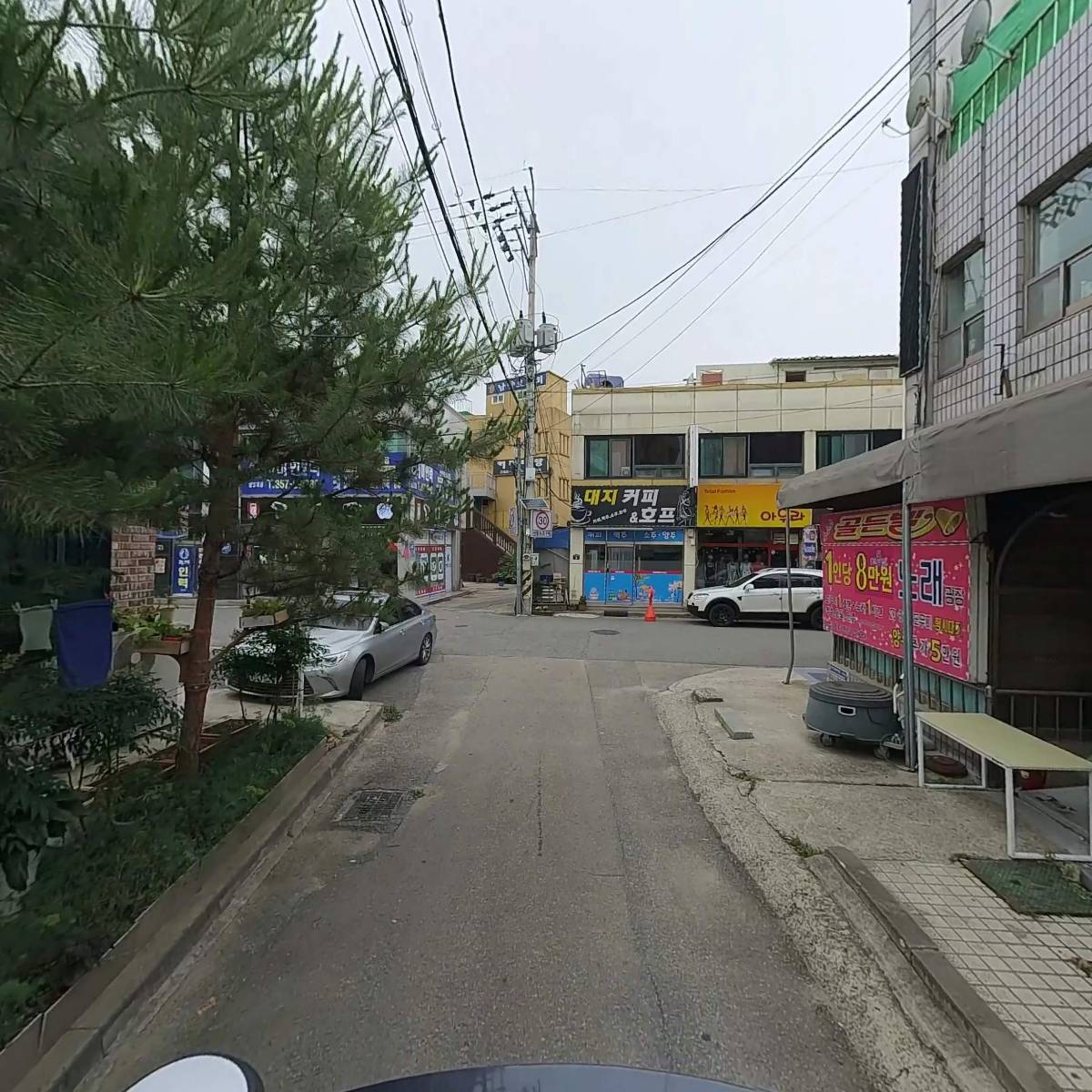 오아시스_2