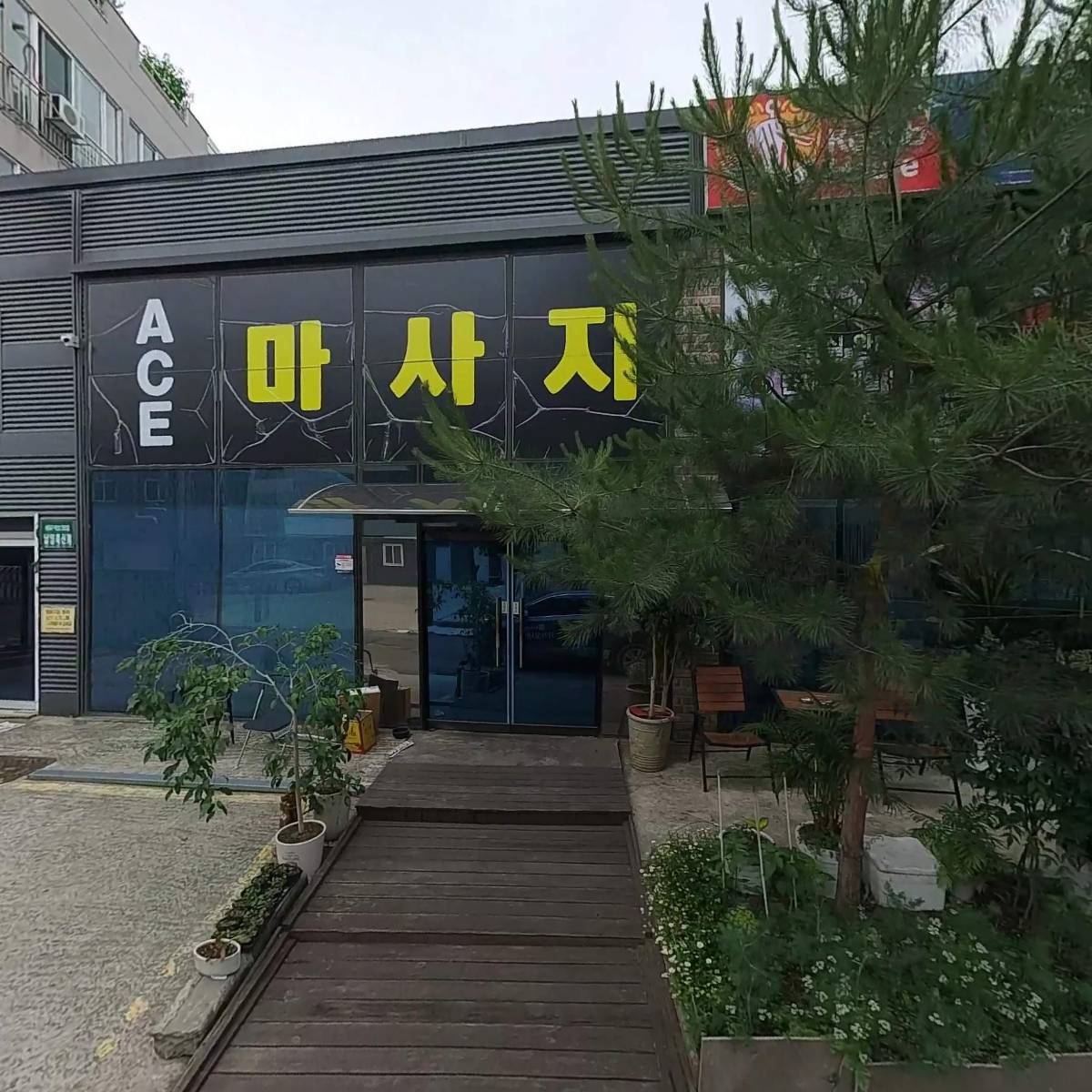오아시스