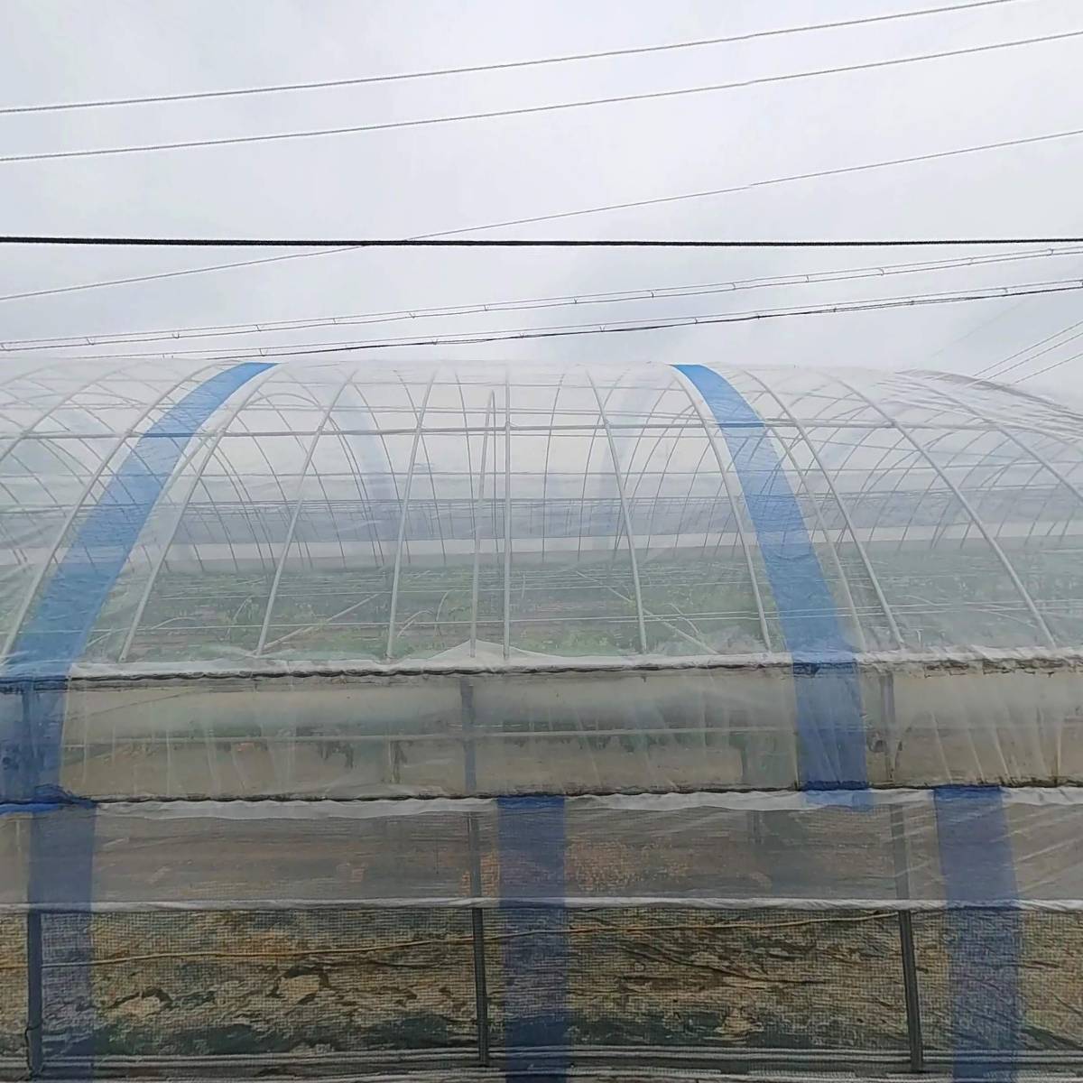 (주)동호유통_3