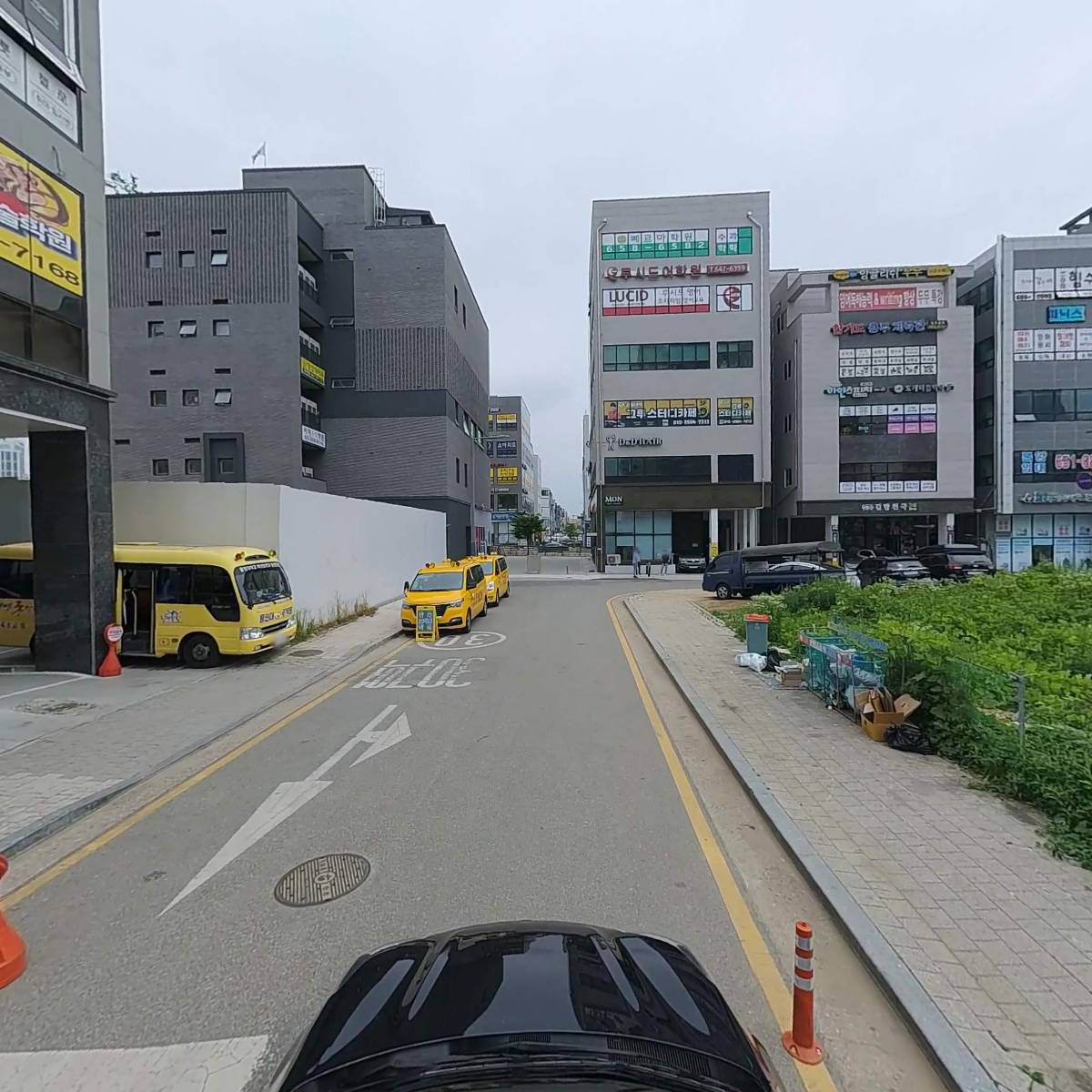 용인대국가대표태권도_4