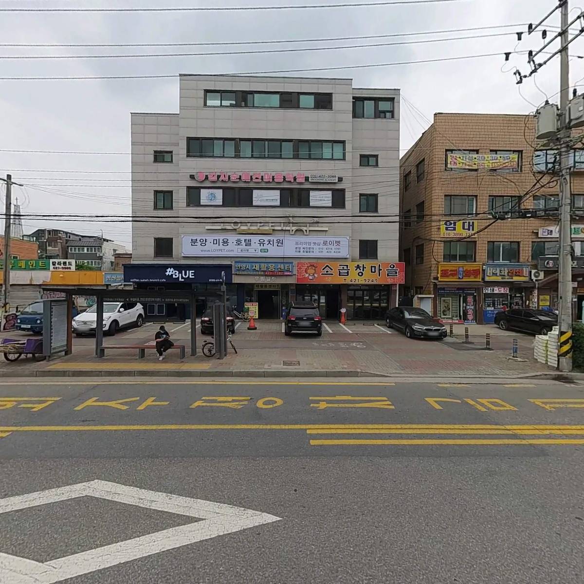 로이펫(loypet)
