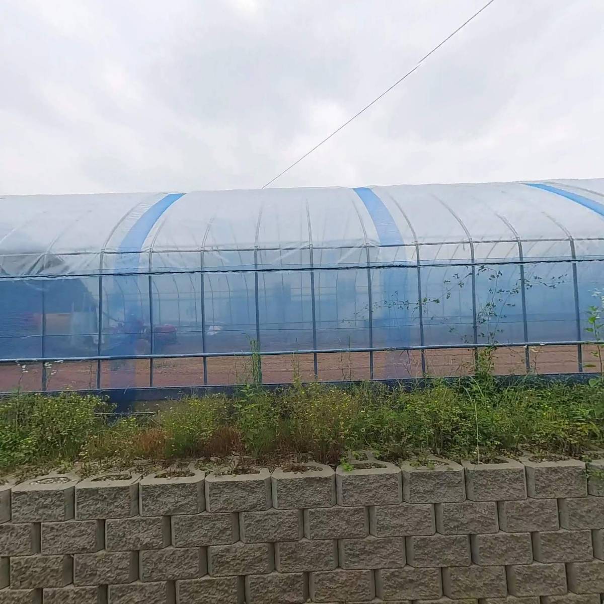 제이콕스