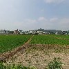 대명자원_3