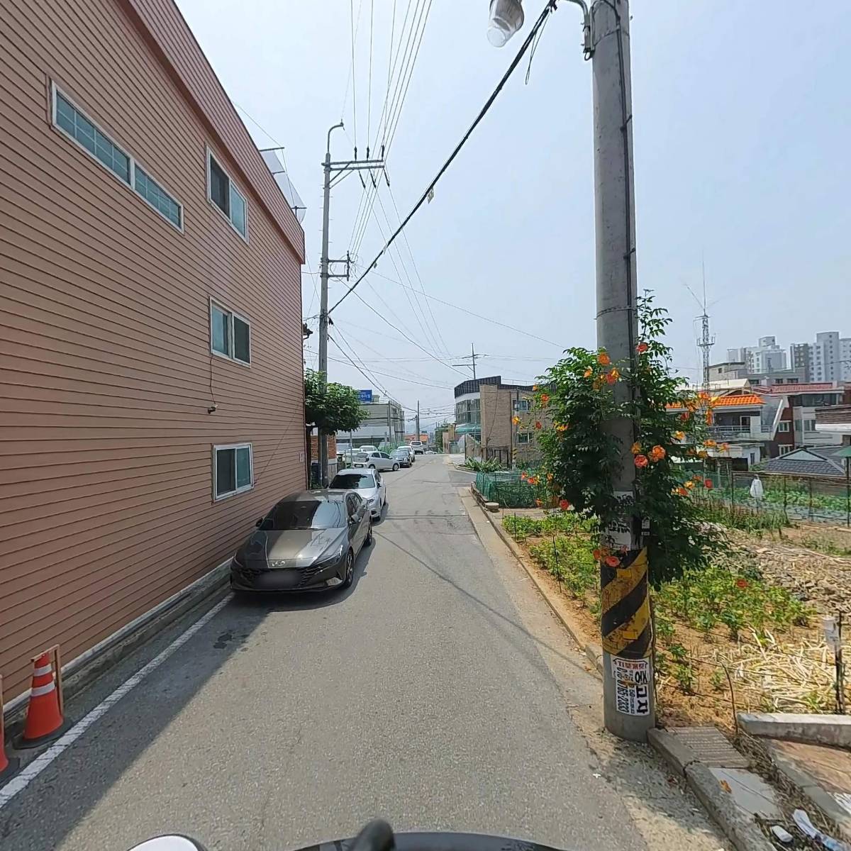 셀렉티브_2