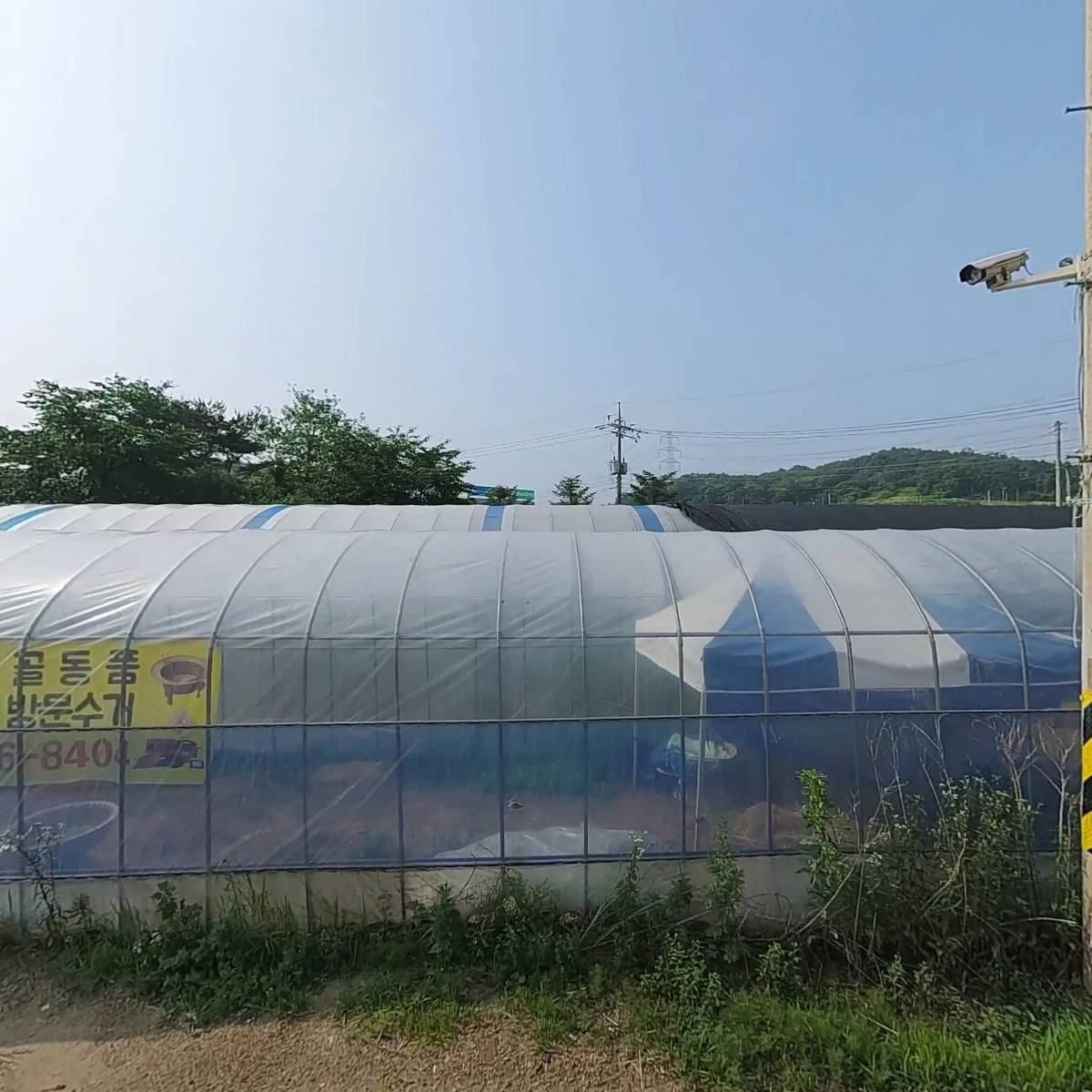 모녀농원
