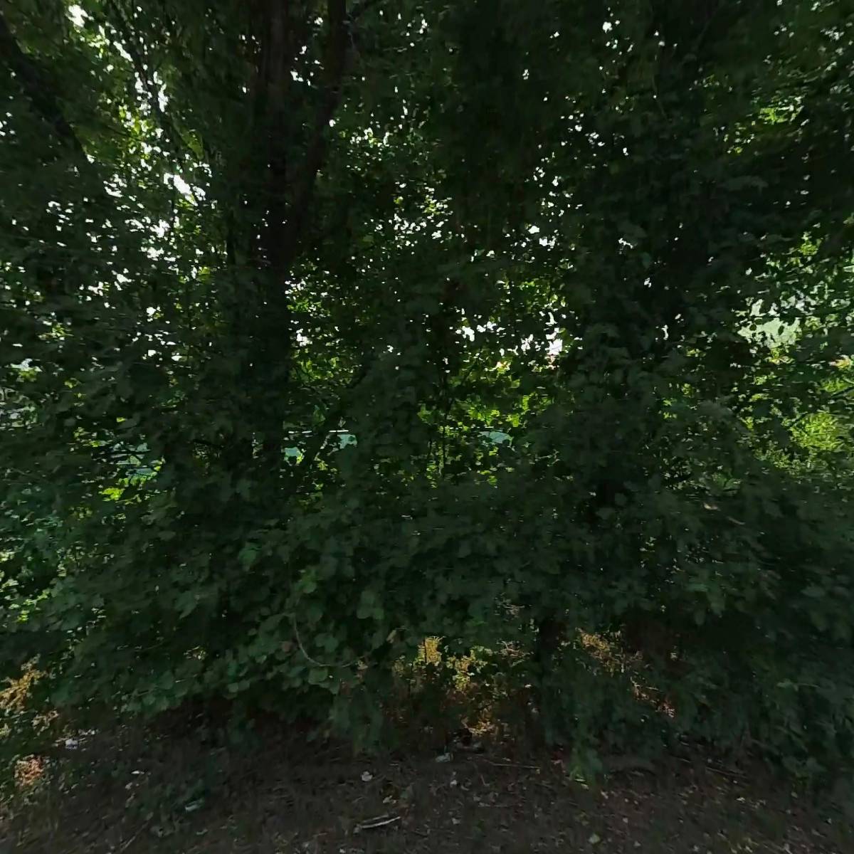 (주)선영이엔씨