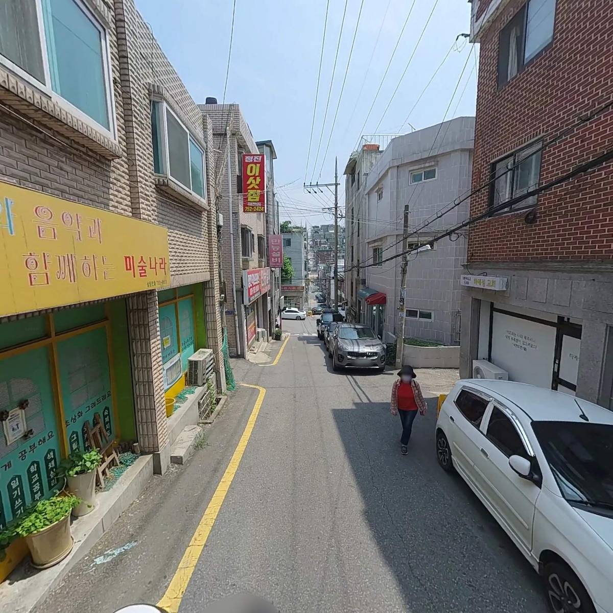 버드나무_2