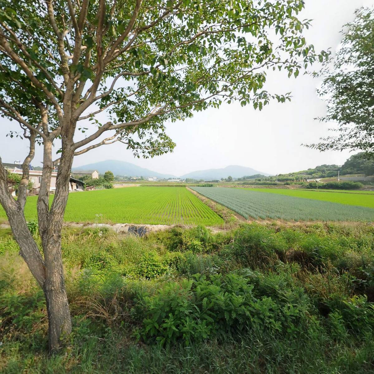 고바우 순대국