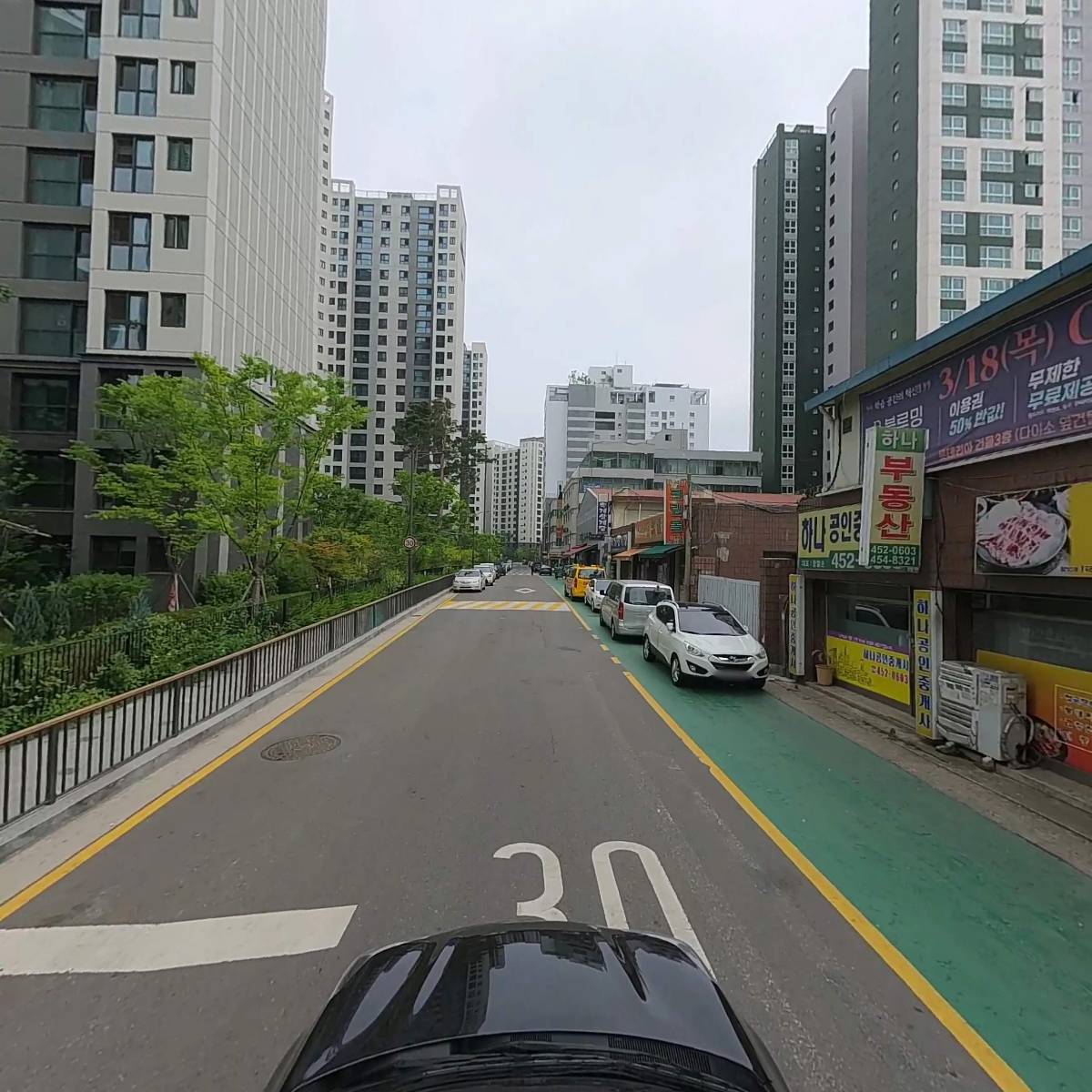 비산 수풀채_4