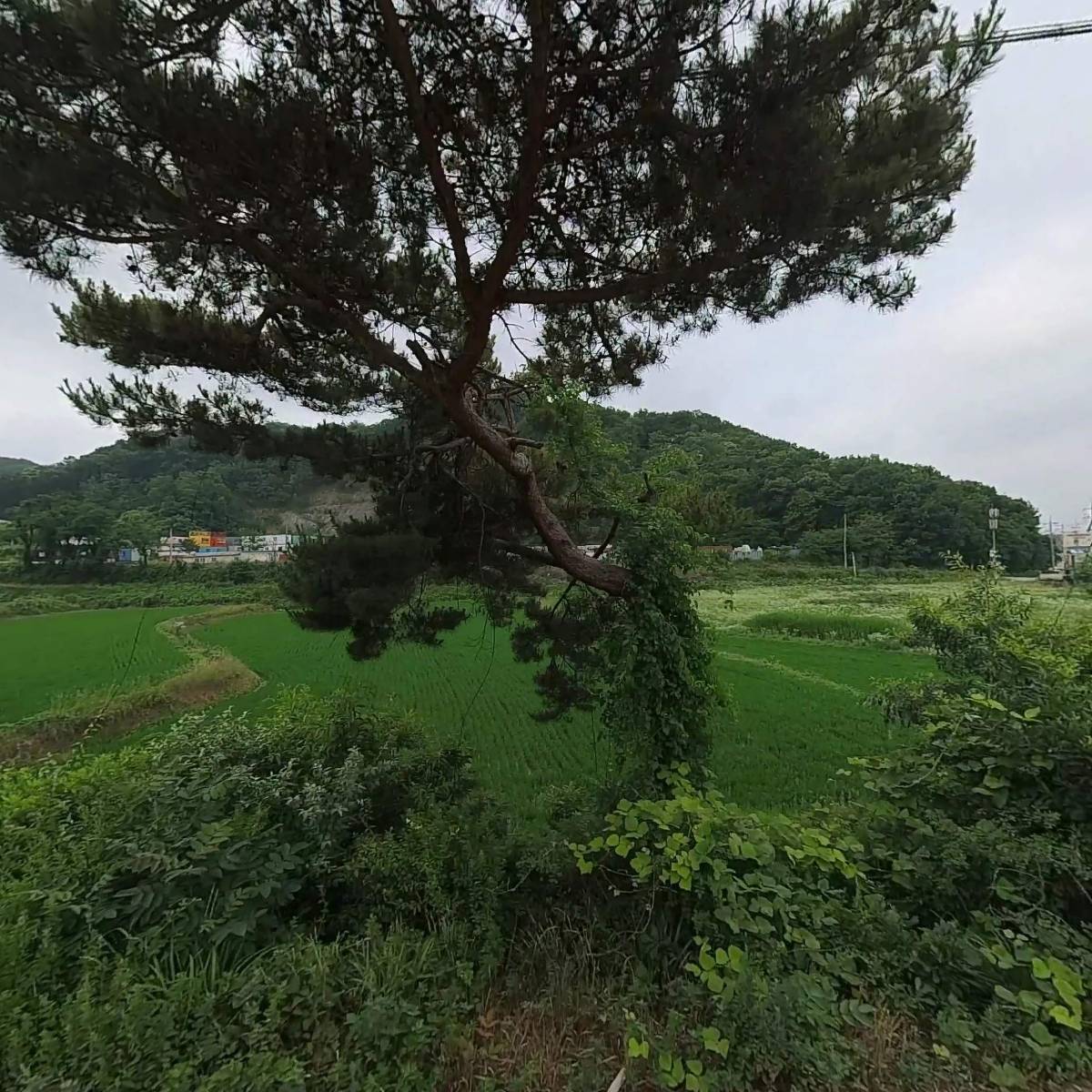 (주)다나에이스켐_3