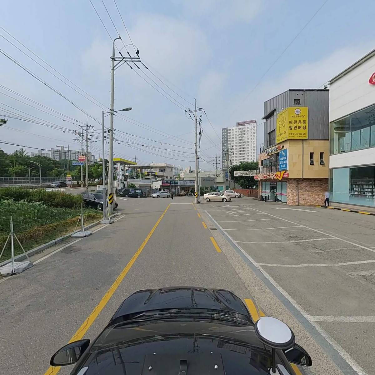 상남견_4