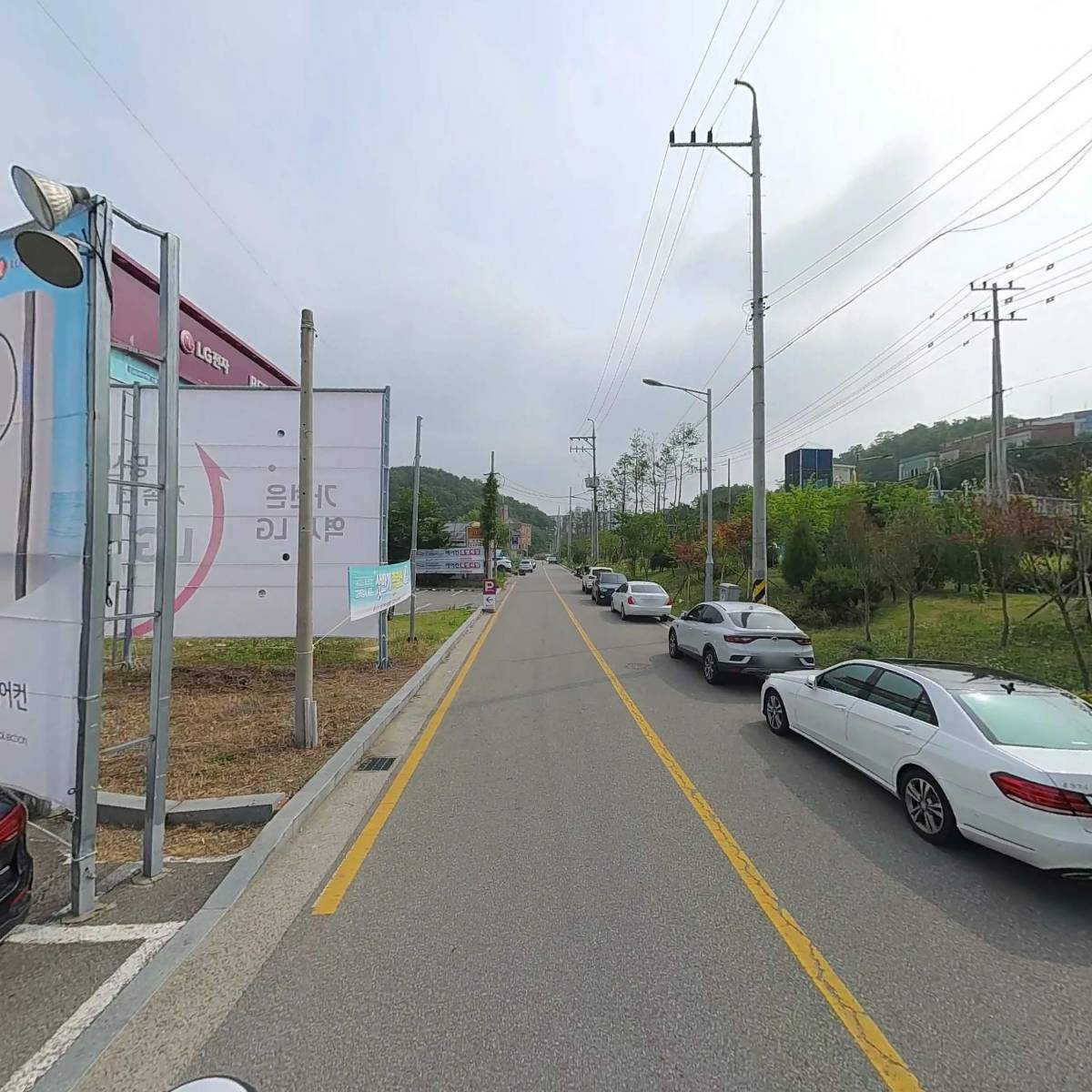 상남견_2