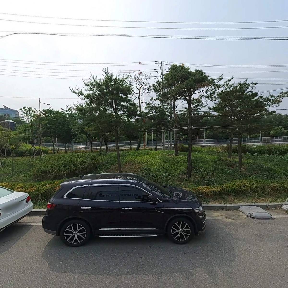 상남견_3
