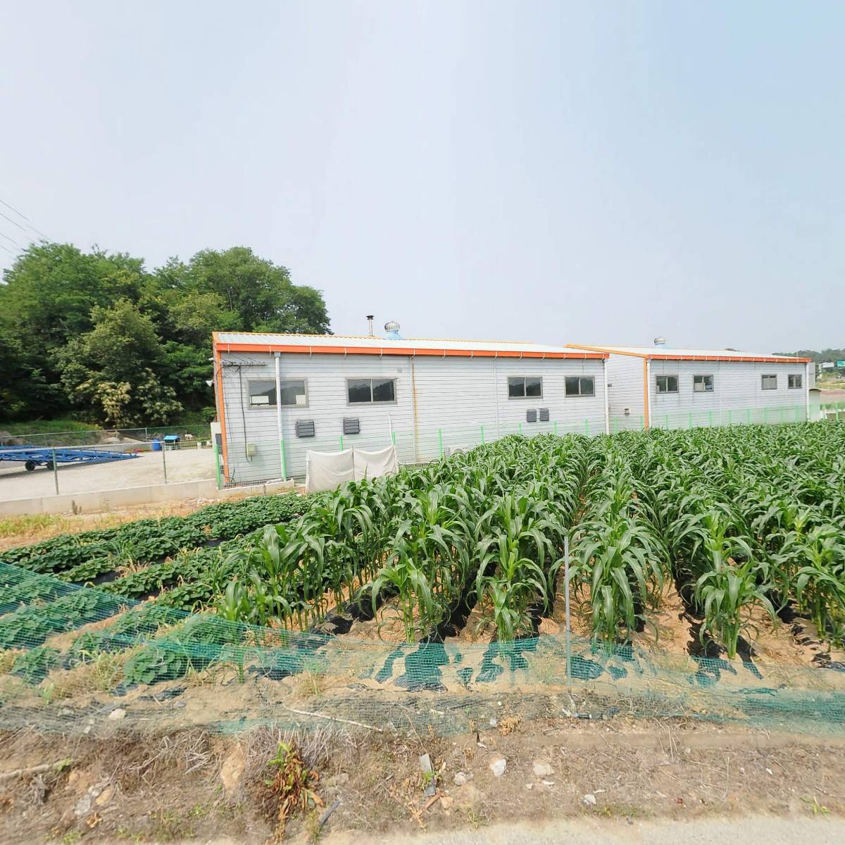 (주)에스제이글로벌