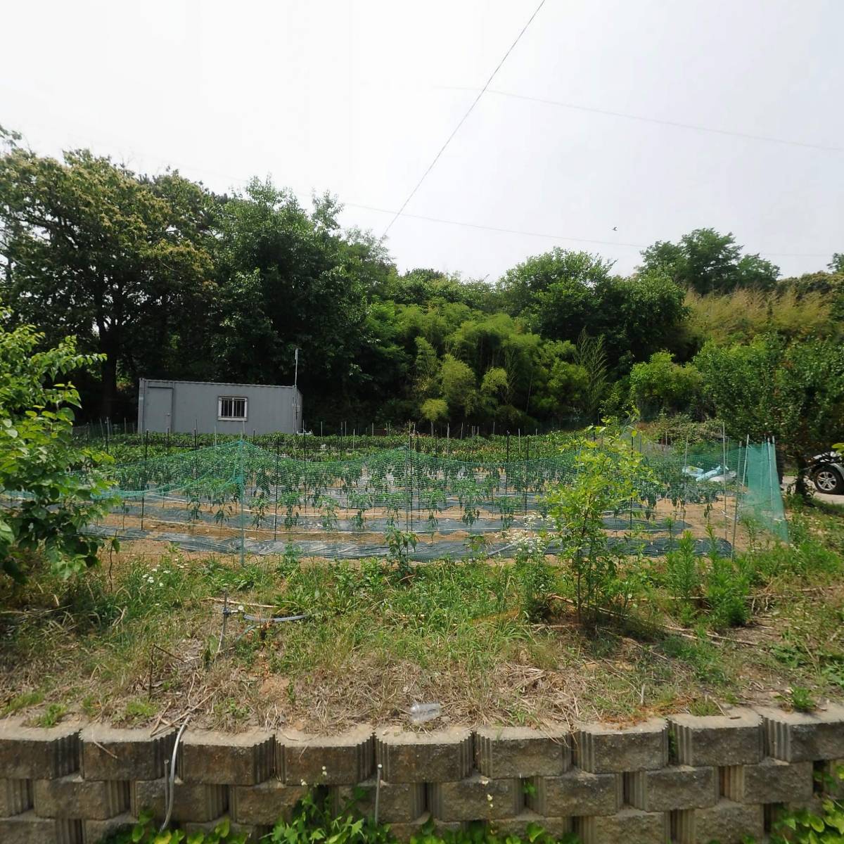 로뎀나무어린이집_3