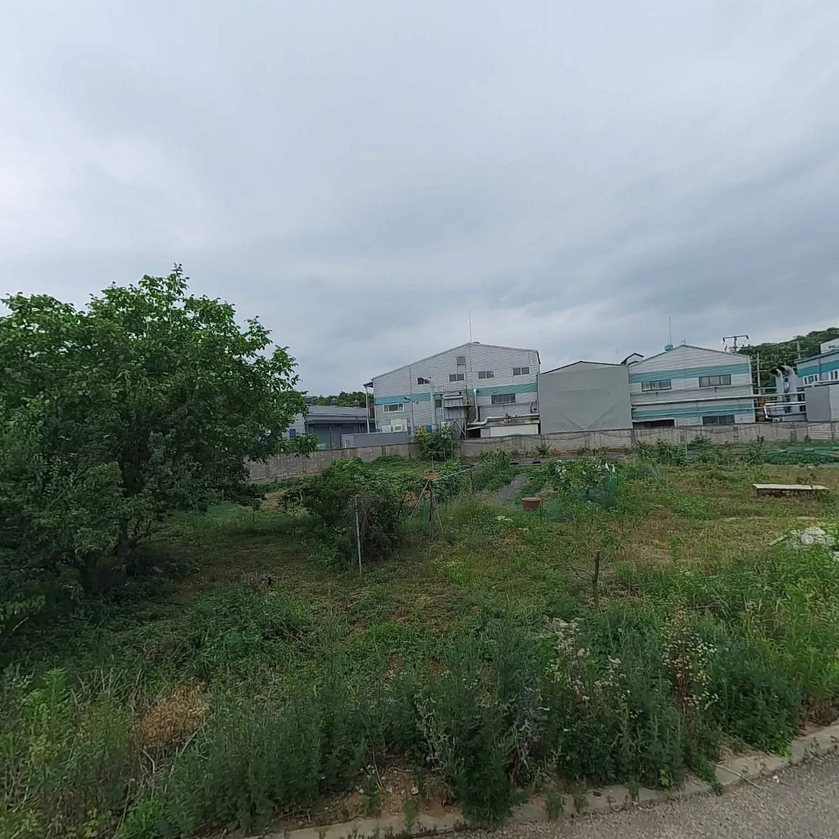 (주)엔케이피