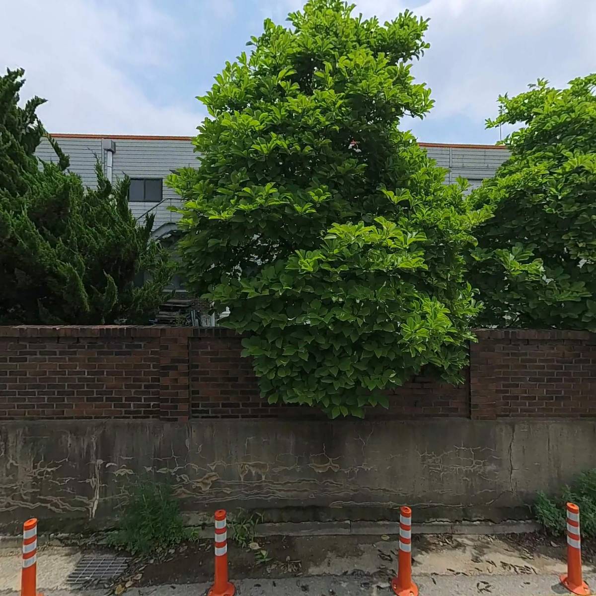 베스콘 주식회사