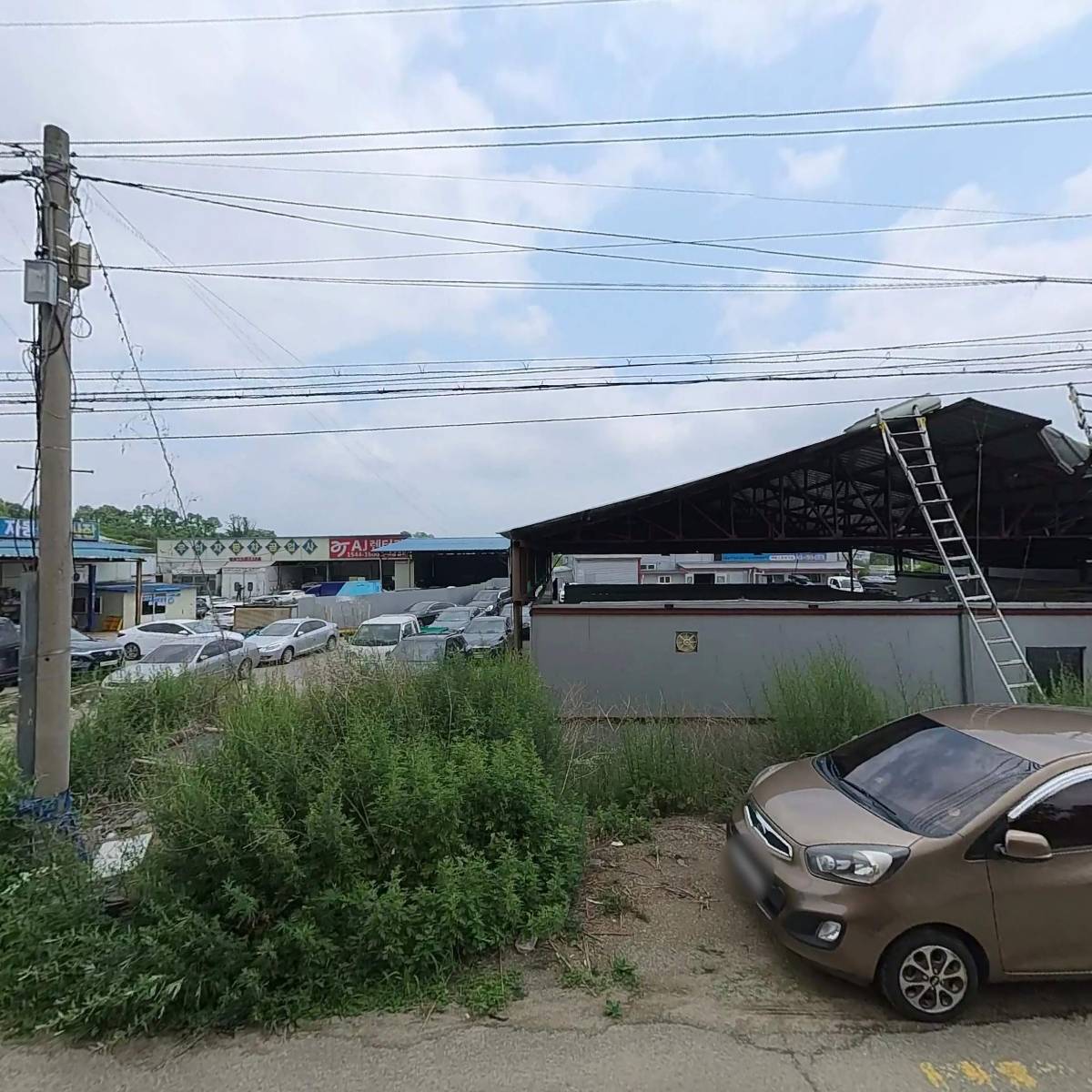 늘사랑교회