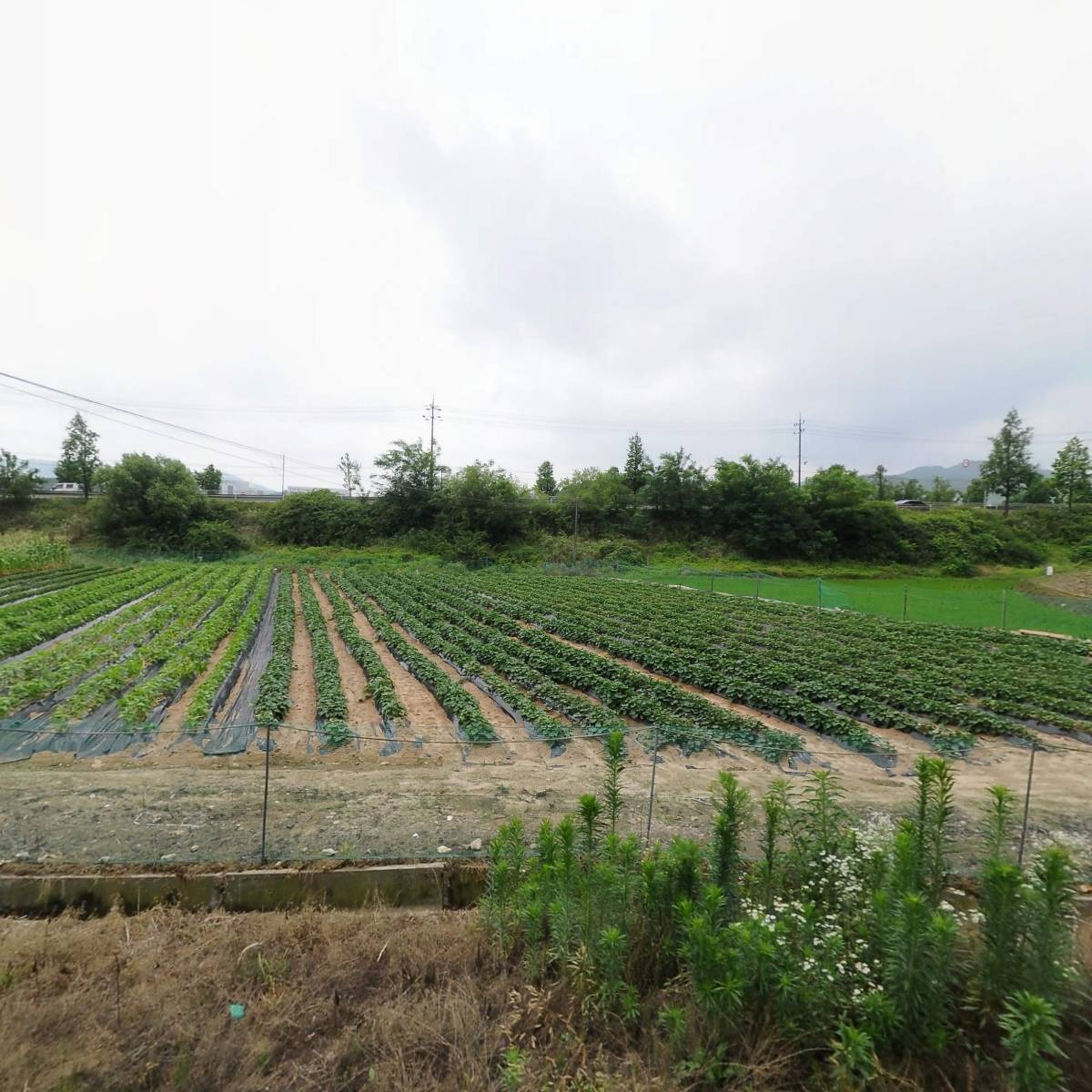 코로코종합물류센타(주)