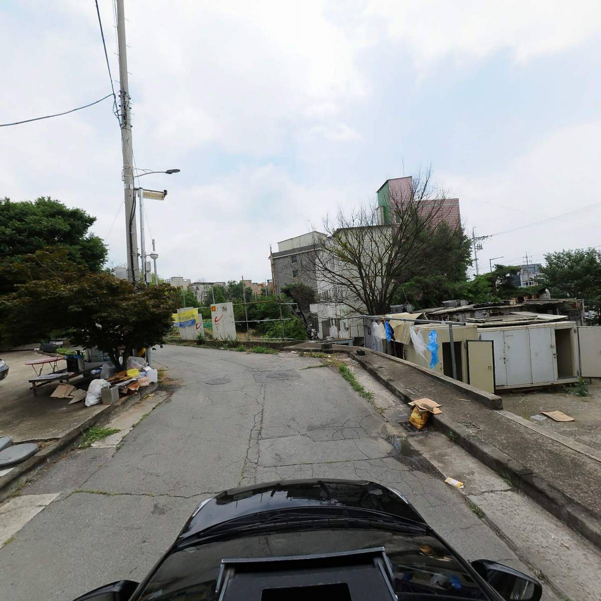 처음본 명품 민물장어_4