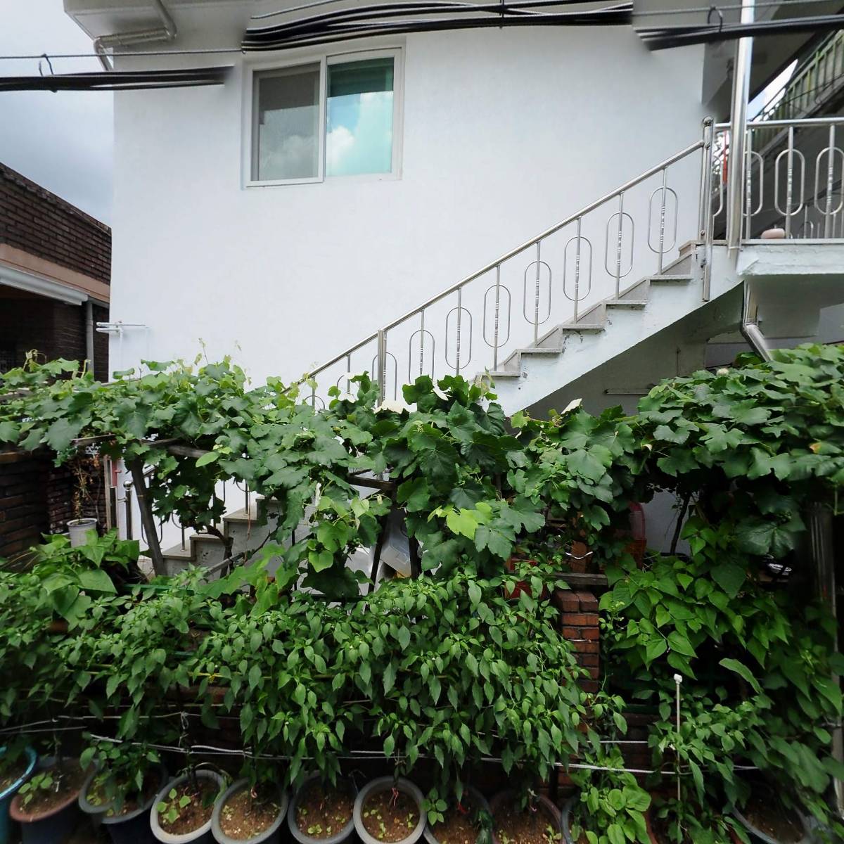 예꼬키즈어린이집