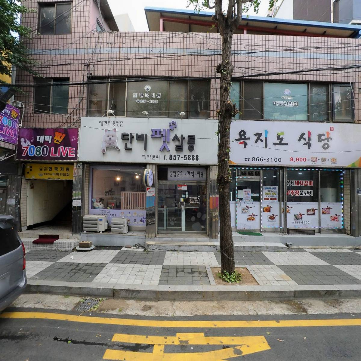 호담시가