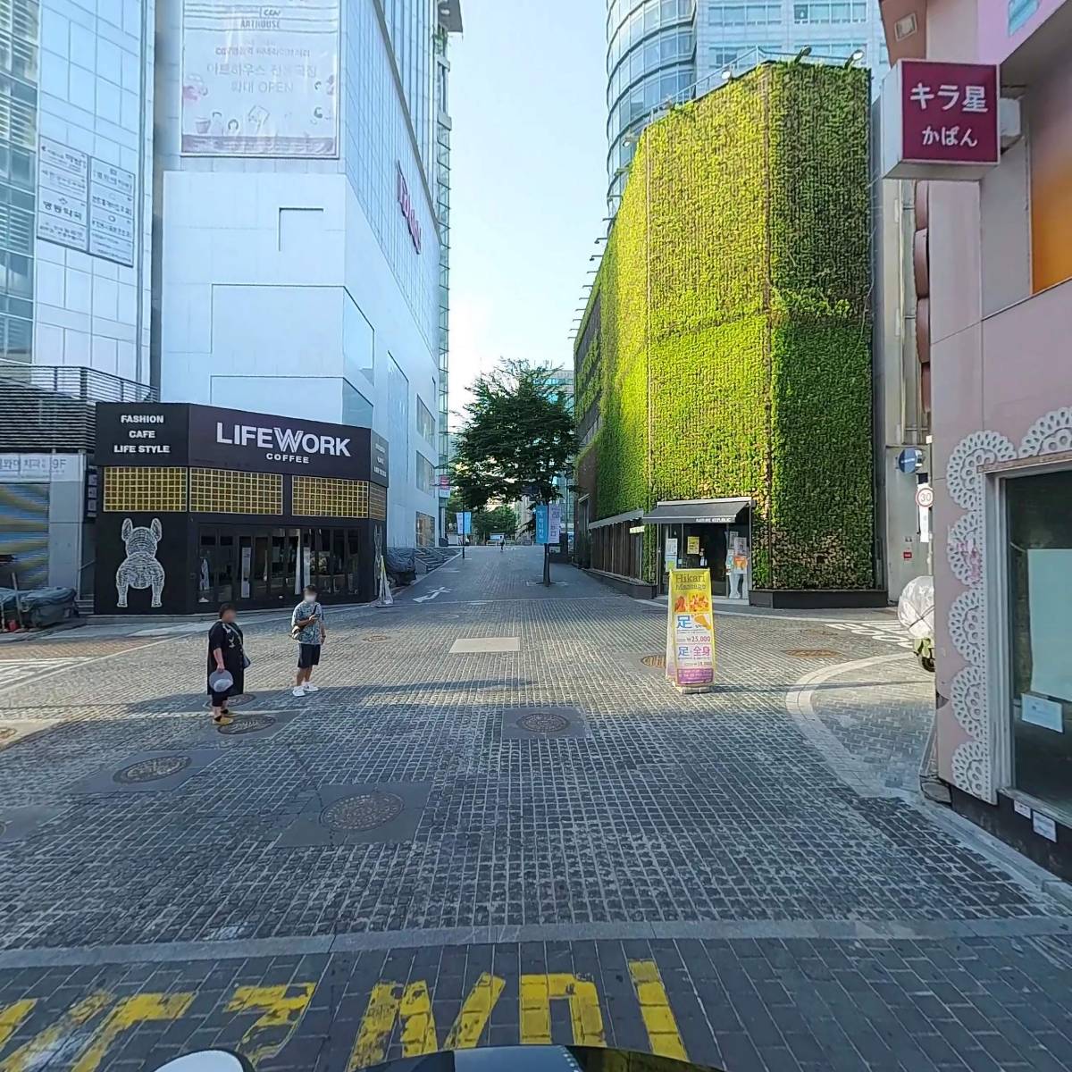 백명기의원_2