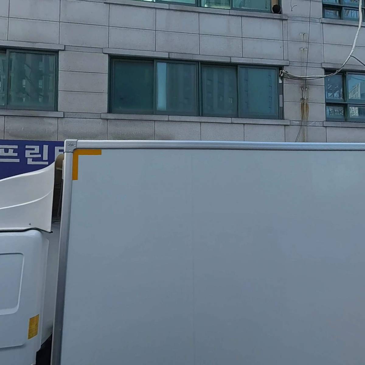 넝쿨디자인