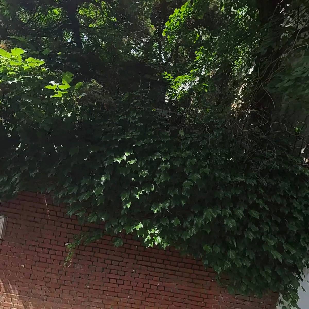 삐에로