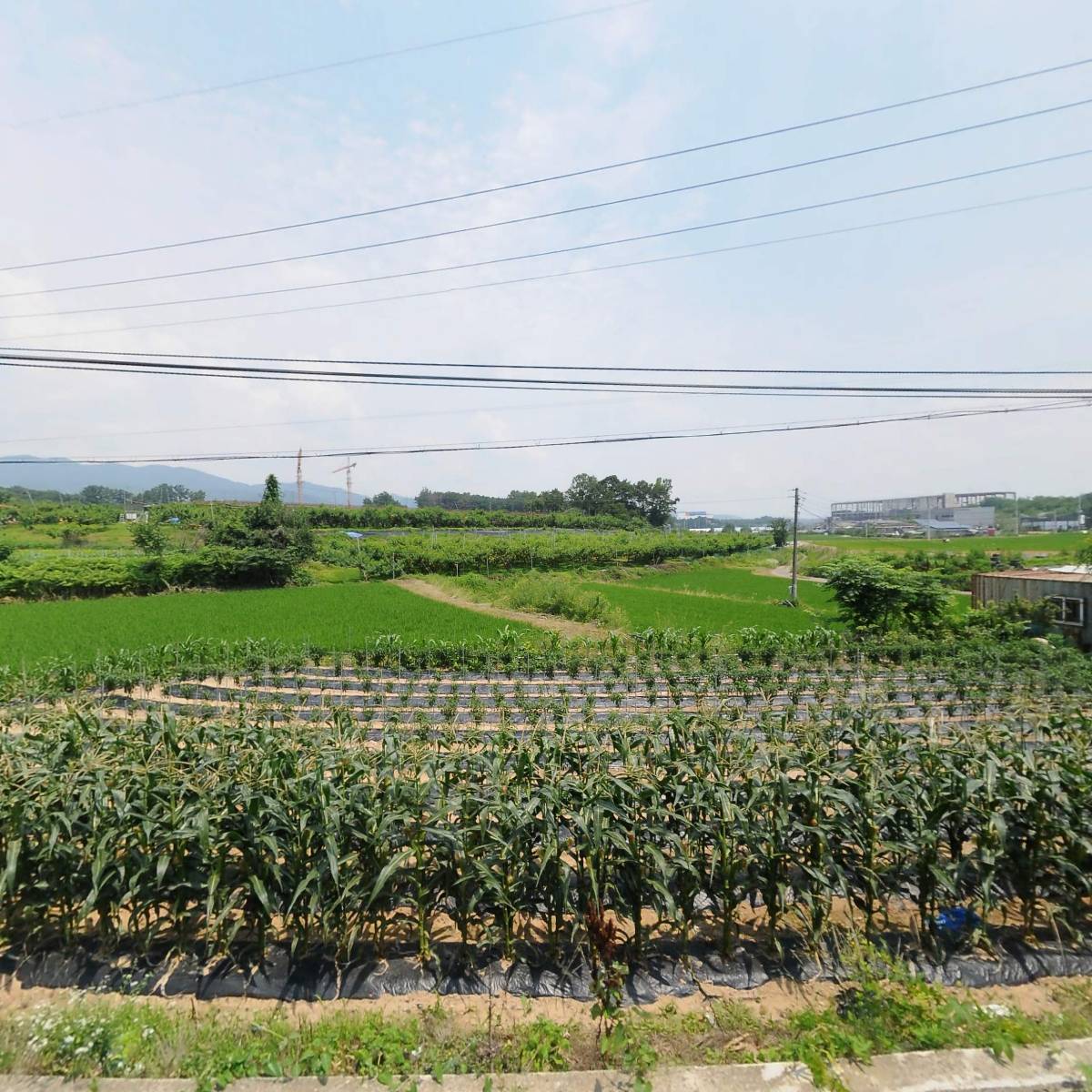 조흥물산(주)이천점