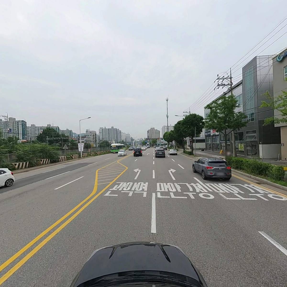 씨씨펫(주)_4