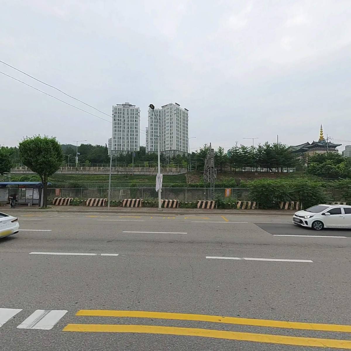 씨씨펫(주)_3