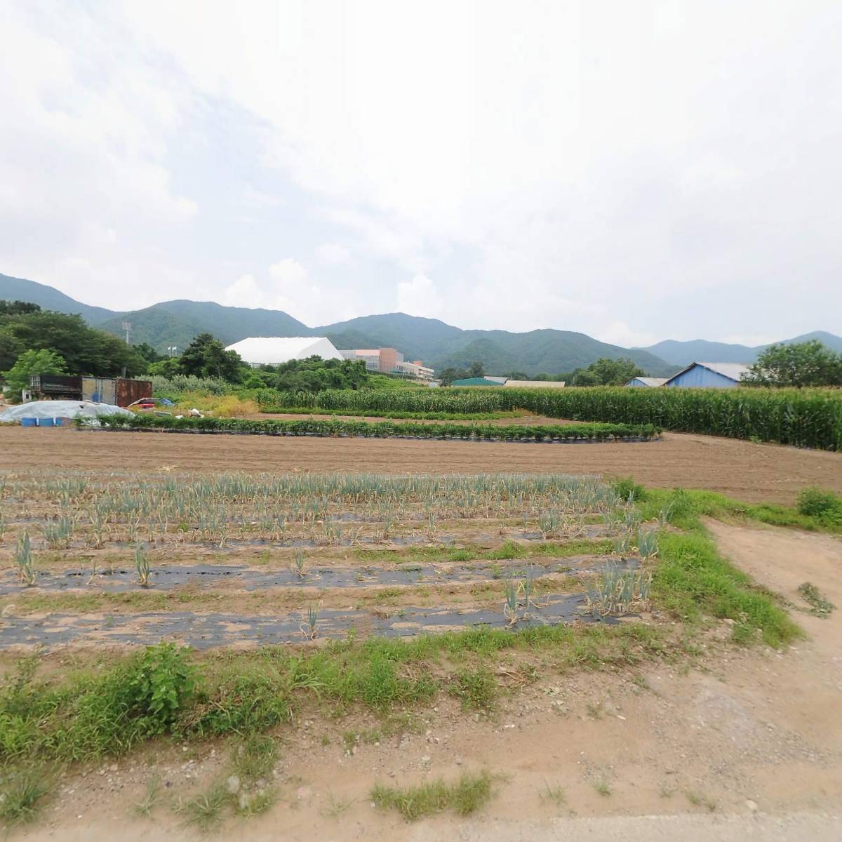 도암농장