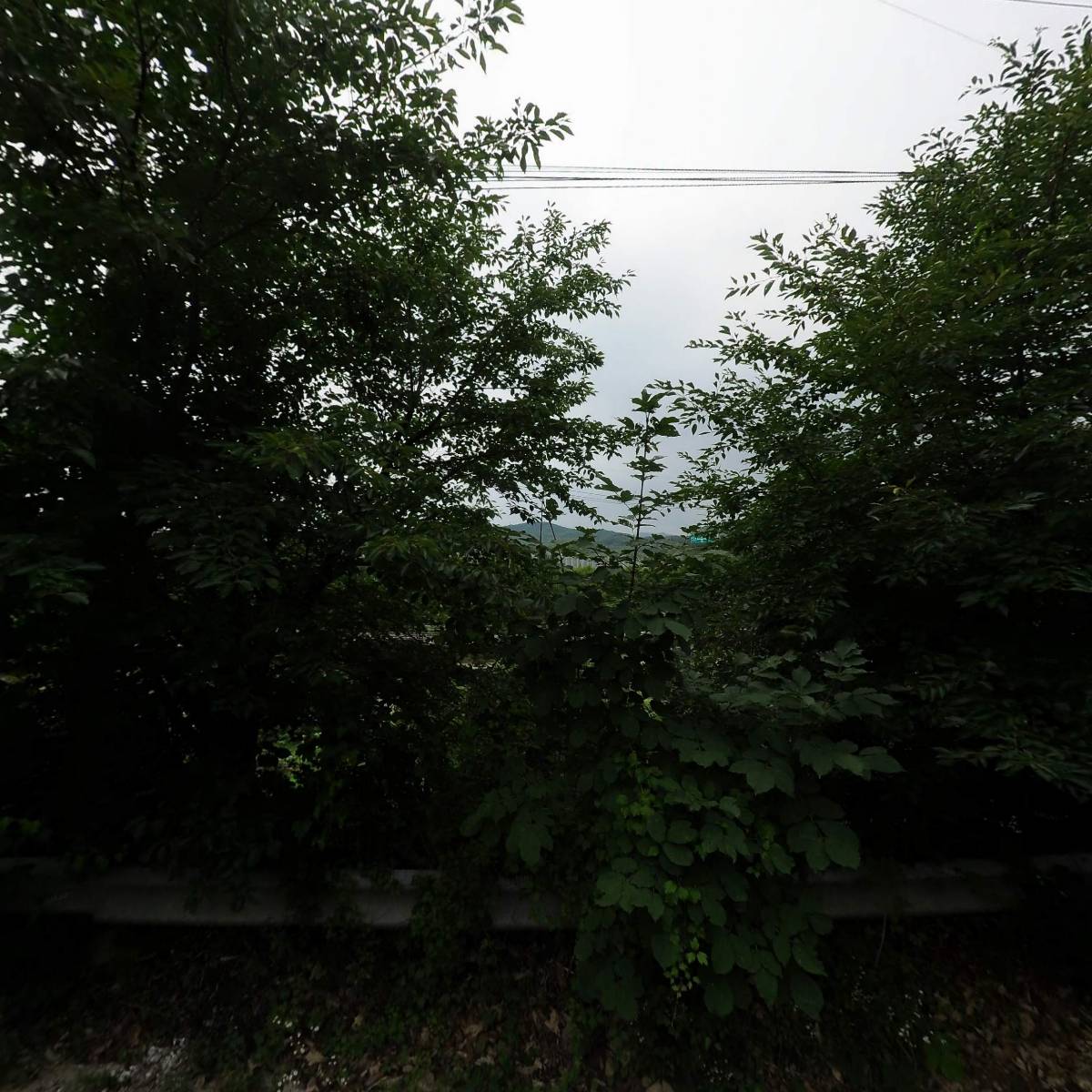 몽헤브농원_3