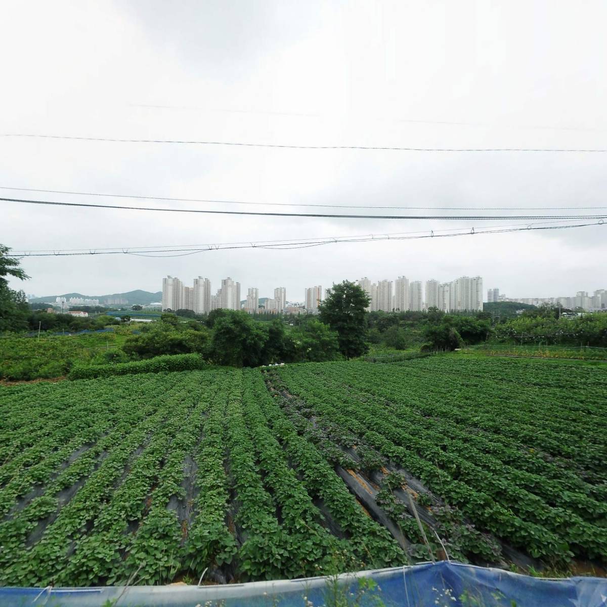 (주)세진파워_3
