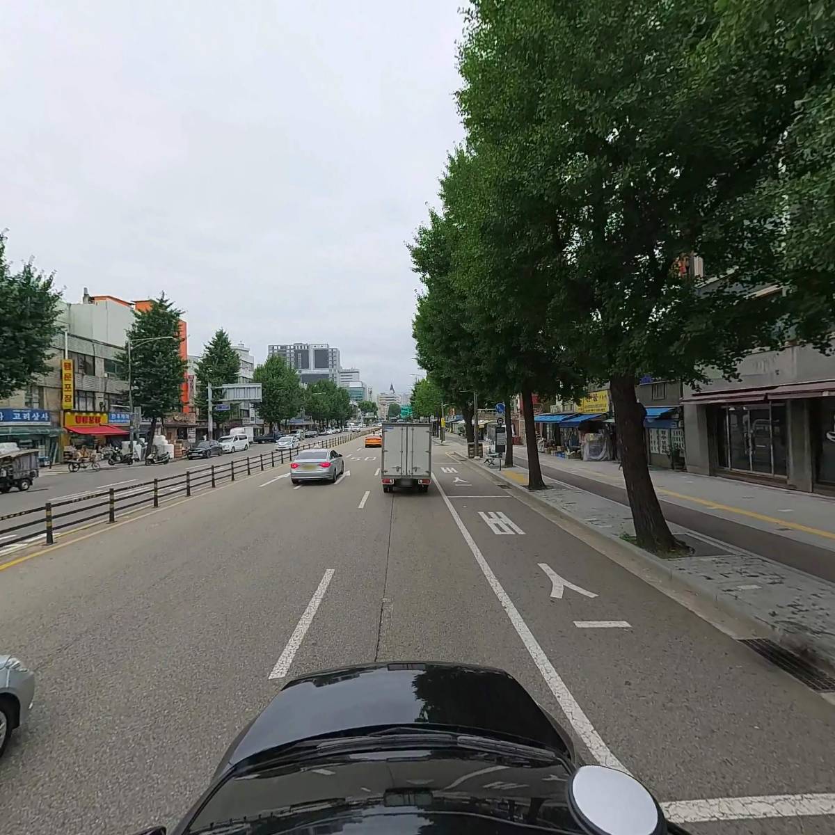 스칼라앤티_4