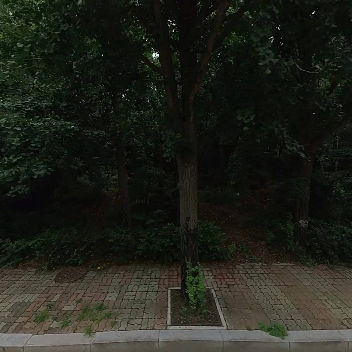 제이드발레학원