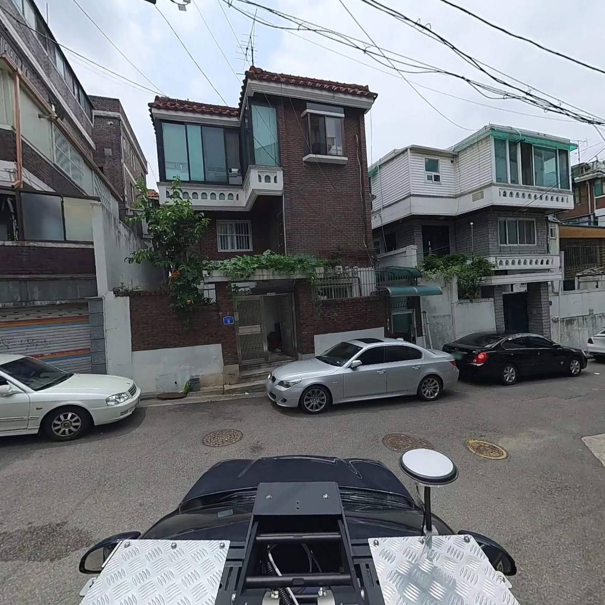 편백나무아래_4