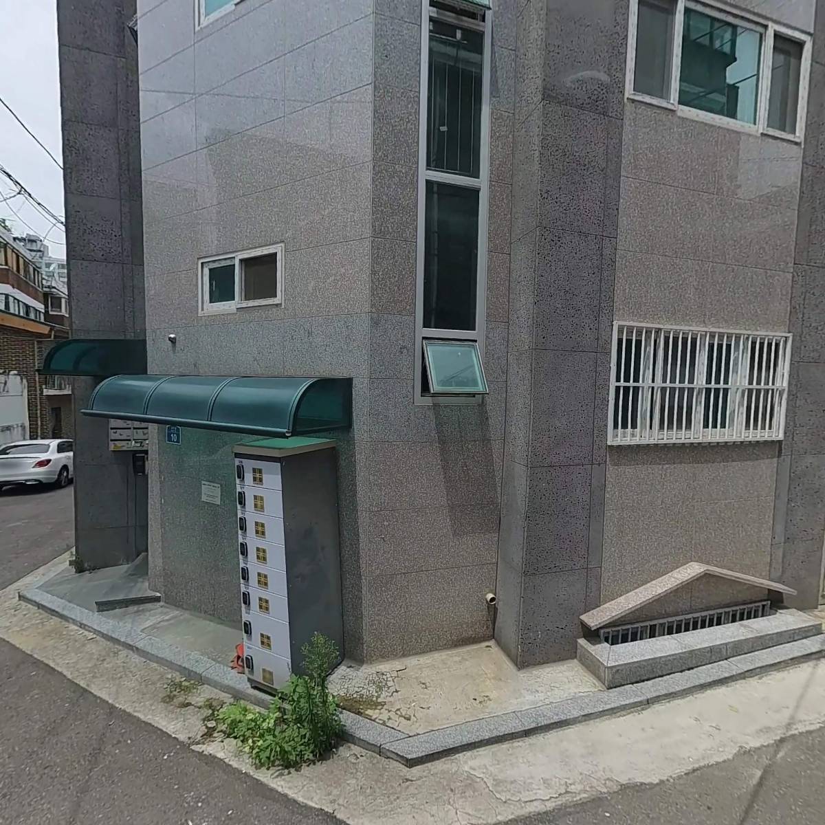 편백나무아래